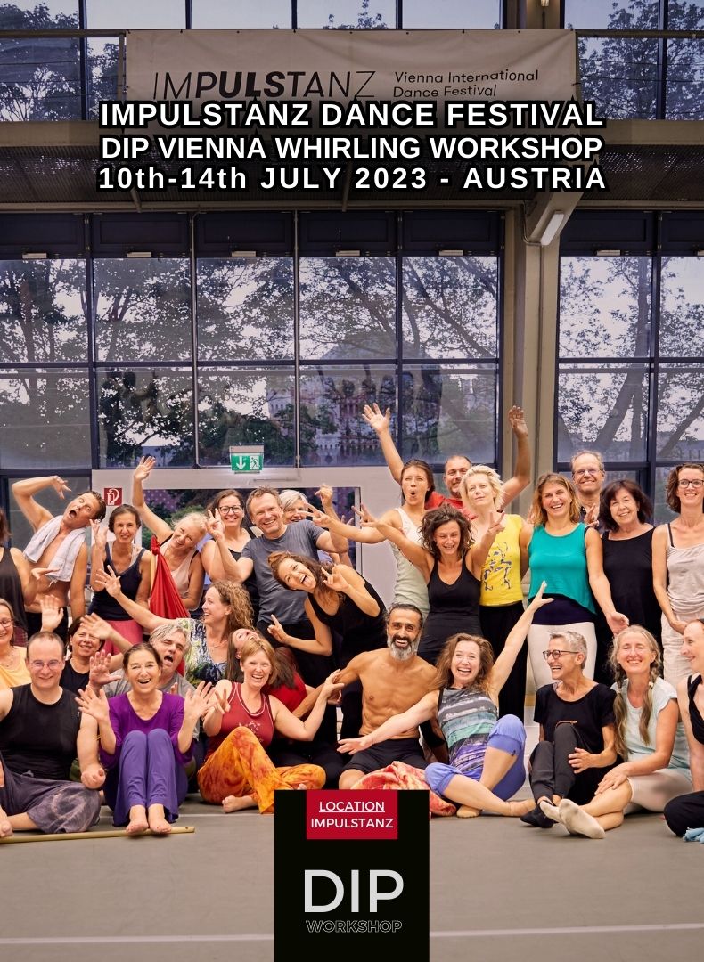 DIP Vienna Workshop